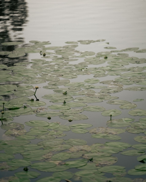 A Pride & Prejudice Inspired Wedding Set in a Romantic 18th-Century Palace Garden