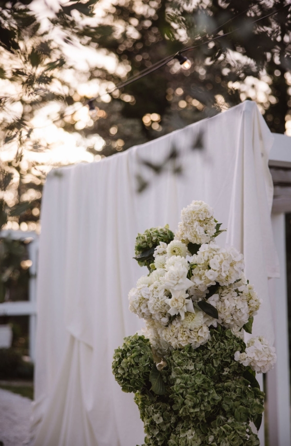 Florists Solasta Blooms