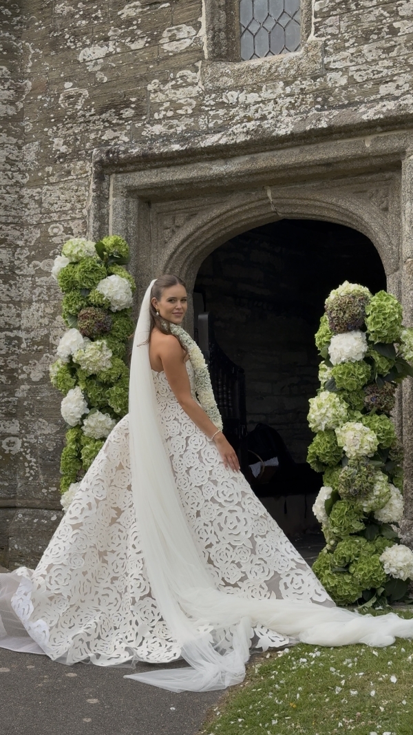 Content Creators WED SOCIAL