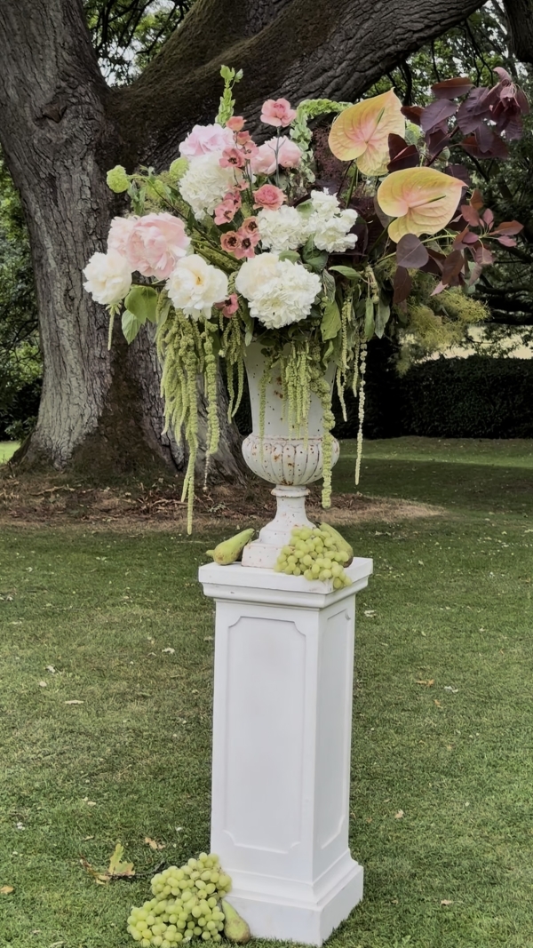 Content Creators WED SOCIAL