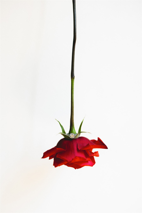 Photographers Yolanta Birkhane