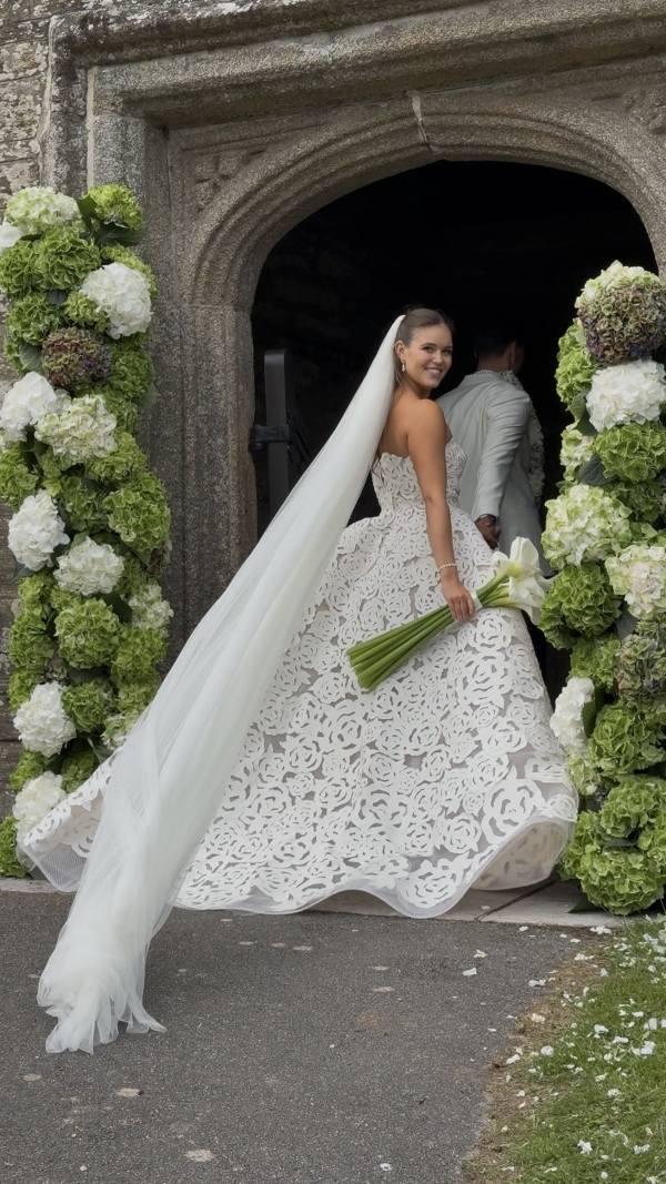 Content Creators WED SOCIAL