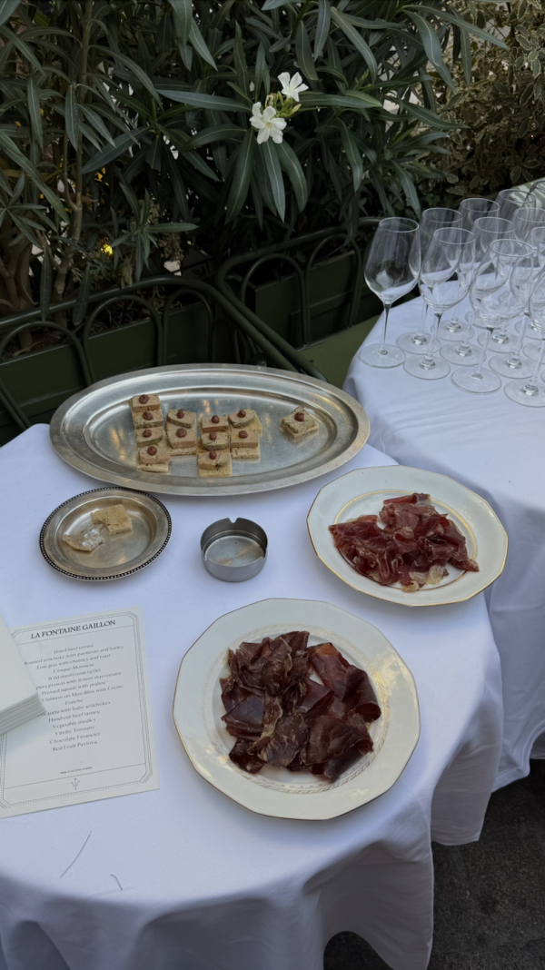 Content Creators WED SOCIAL