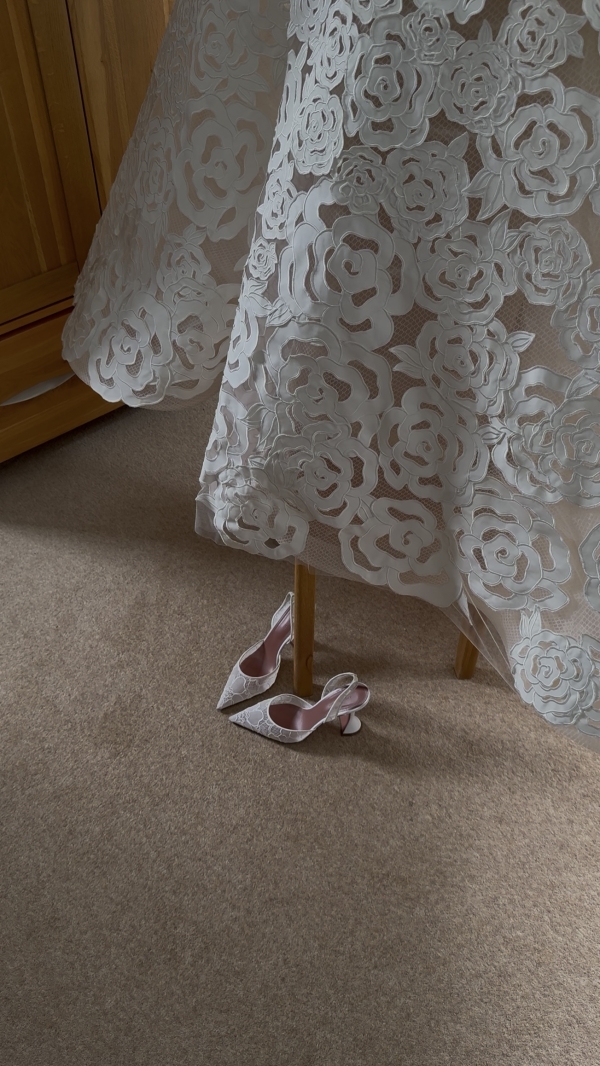 Content Creators WED SOCIAL