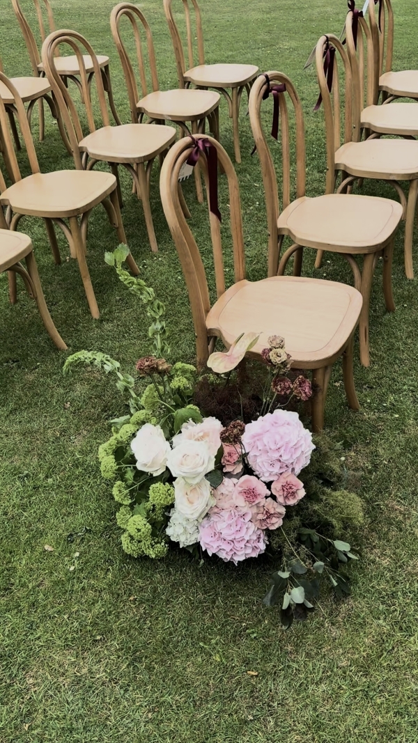 Content Creators WED SOCIAL