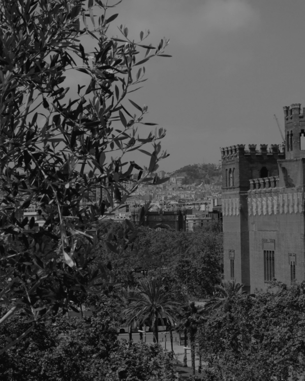 In Conversation: Hotel Borneta