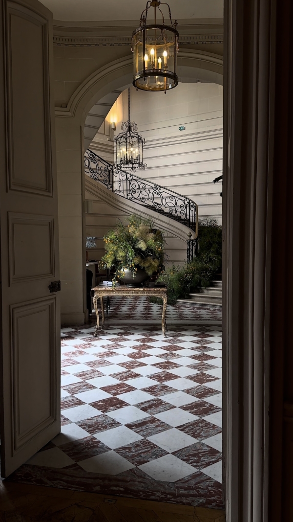 Content Creators WED SOCIAL