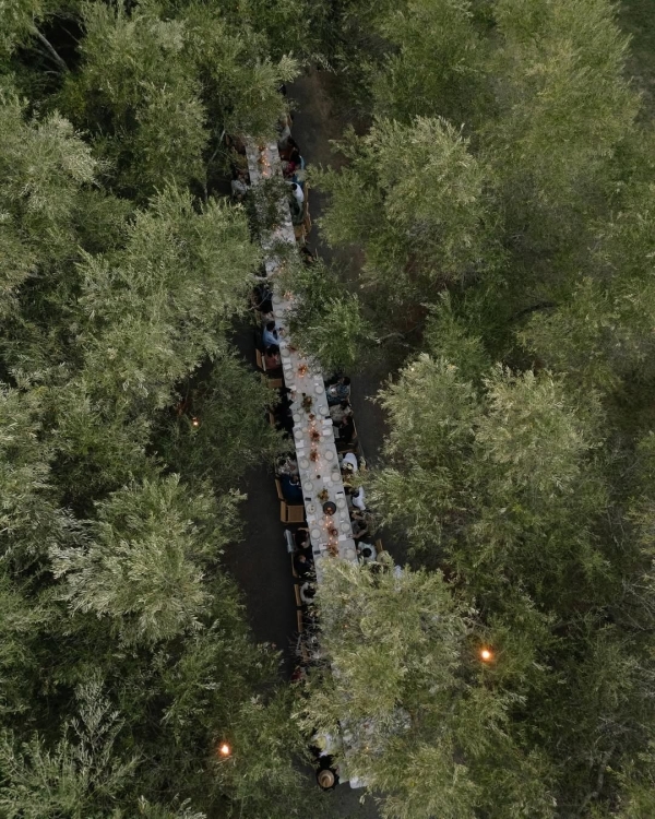 40 Best Wedding Photographers in USA | American Modern, Cinematic Photography | TOP Luxury Bridal Photographers