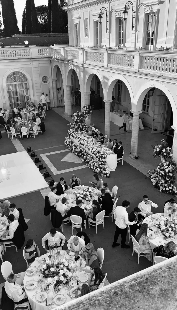 Content Creators WED SOCIAL