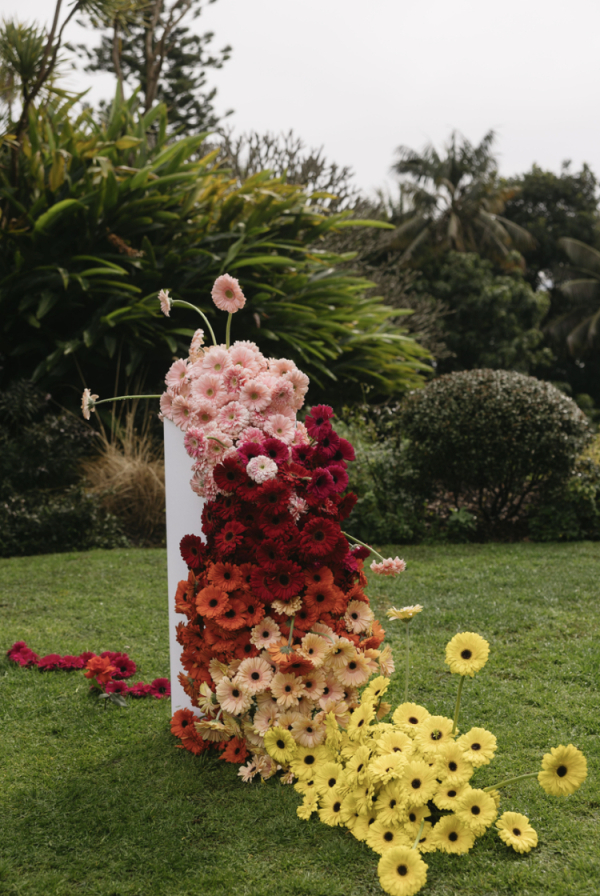 Florists Solasta Blooms