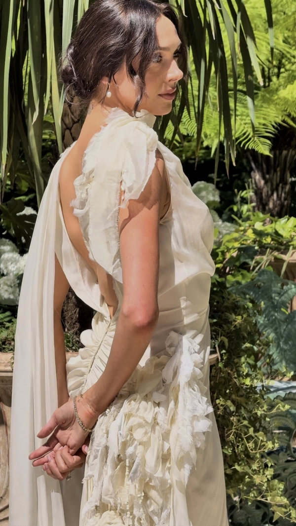 Content Creators WED SOCIAL