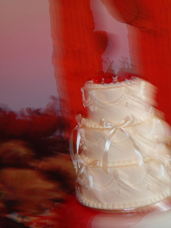 Planners Wedding Erah