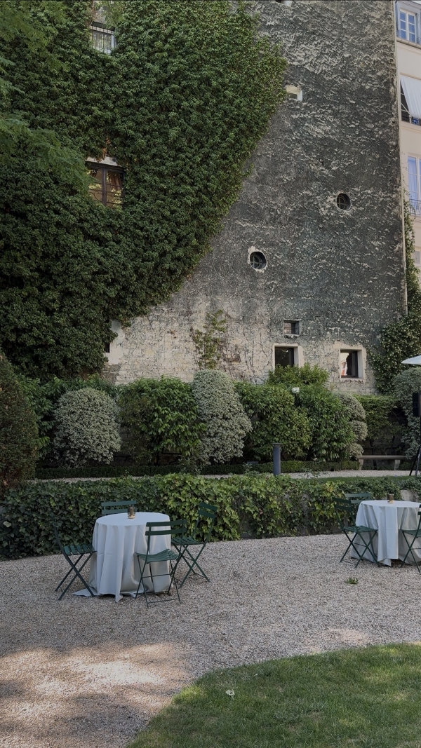 Content Creators WED SOCIAL