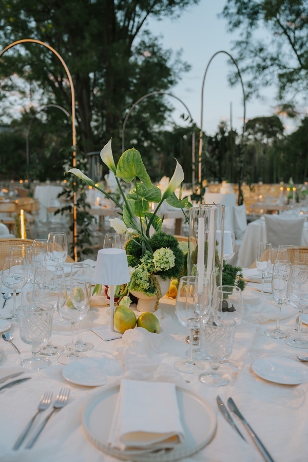 Planners Lupita Tirado