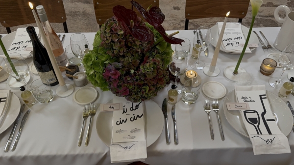 Content Creators WED SOCIAL