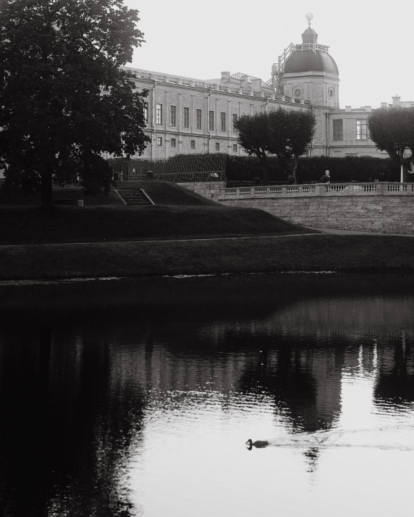 A Pride & Prejudice Inspired Wedding Set in a Romantic 18th-Century Palace Garden