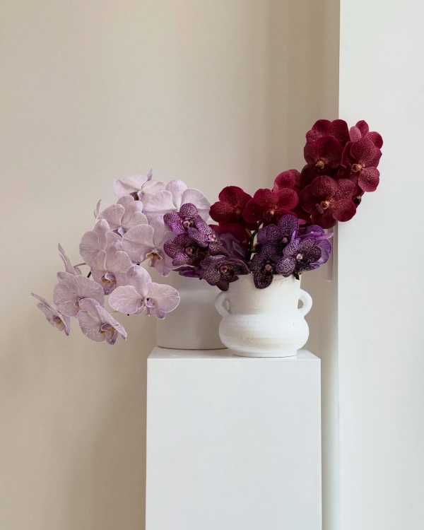 Florists Solasta Blooms