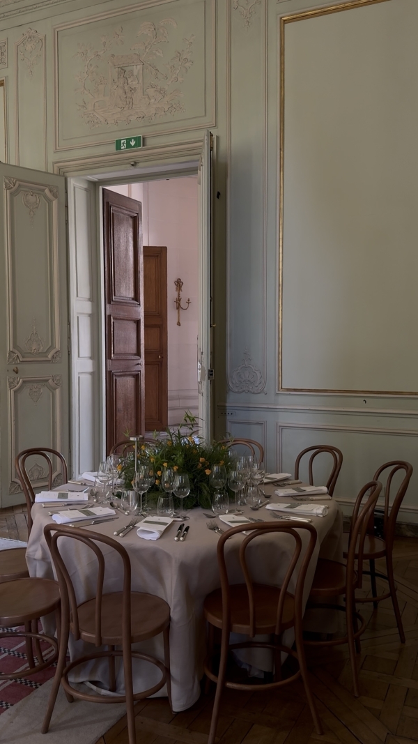 Content Creators WED SOCIAL