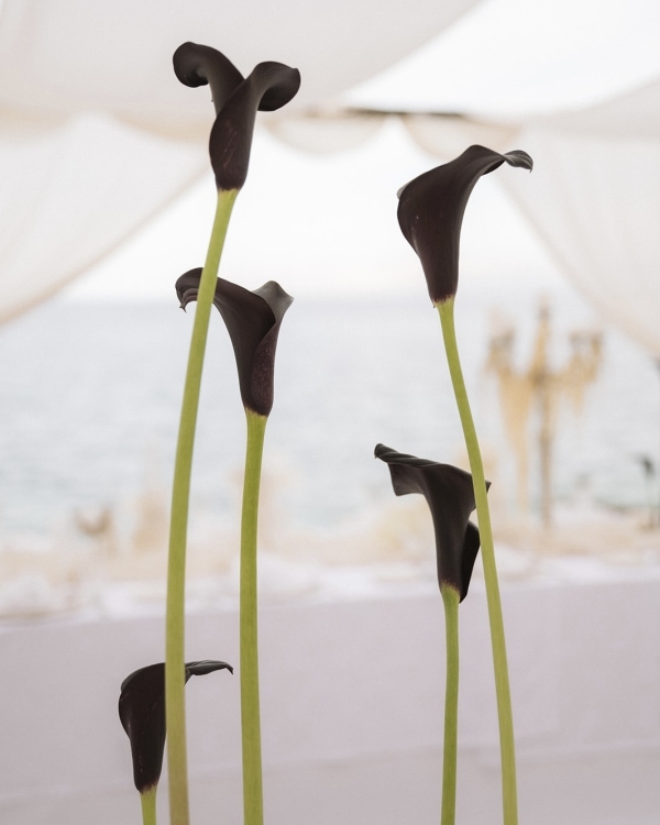 This Galliano-Inspired Bride Brought Mermaidcore Magic to Her Wedding in Sicily