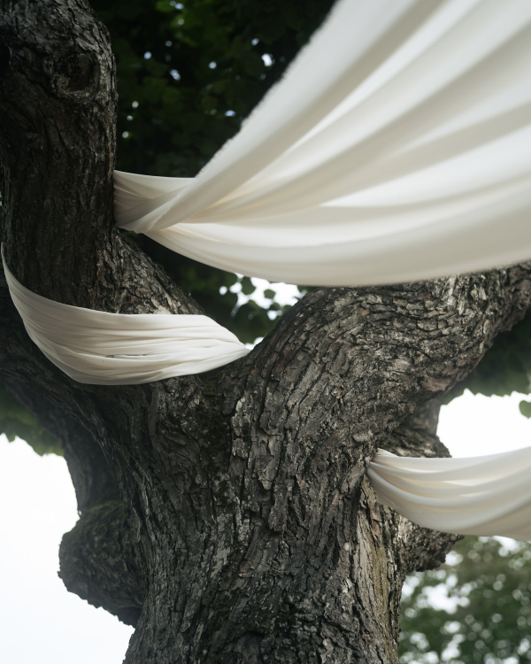 A Pride & Prejudice Inspired Wedding Set in a Romantic 18th-Century Palace Garden