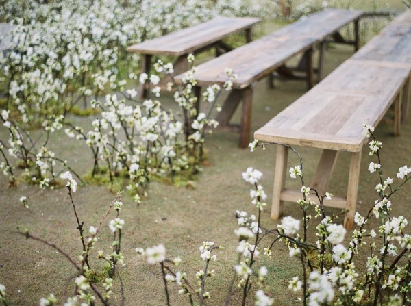 Florists Hart Floral