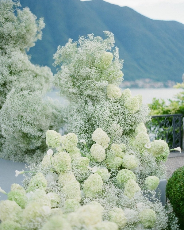 Florists Tulipina Design