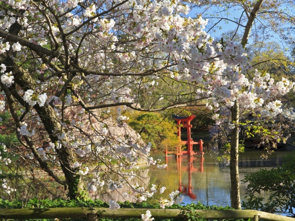 Venues Patina Events at Brooklyn Botanic Garden