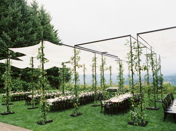 Florists Hart Floral