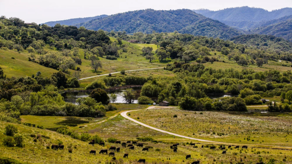 Venues Santa Lucia Preserve