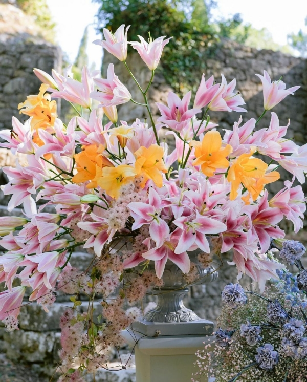 Florists Tulipina Design