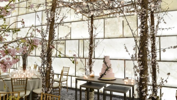 Venues Park Hyatt New York