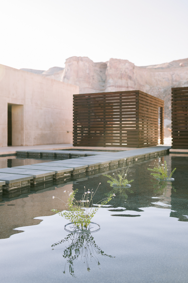 Florists Hart Floral