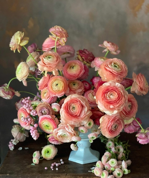 Florists Tulipina Design