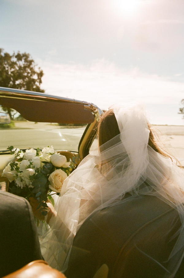 Photographers St. Chelle