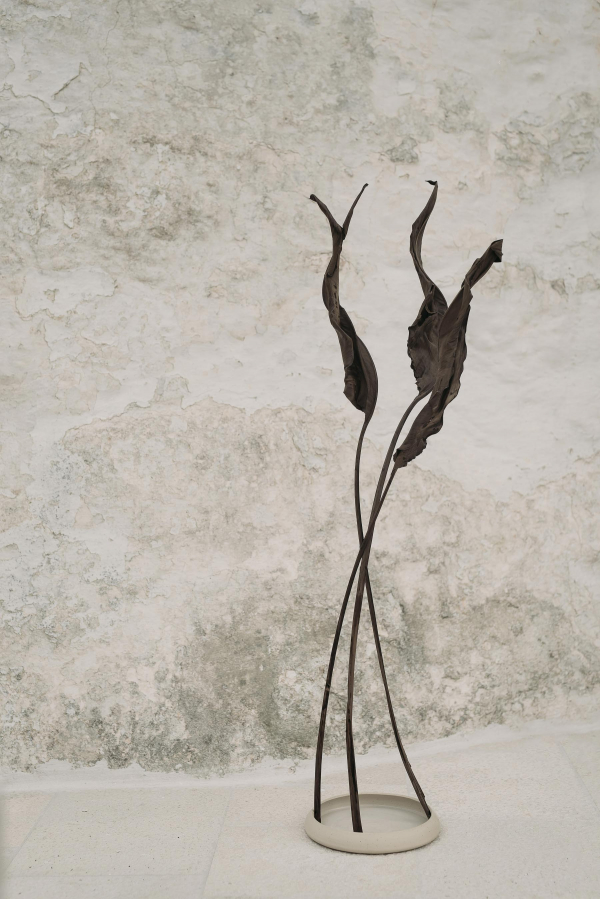 Photographers Gradisca Portento