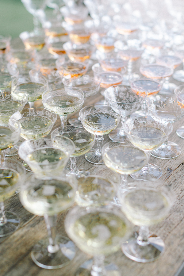 Planners Bash Please