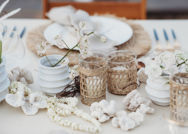 Planners Bash Please