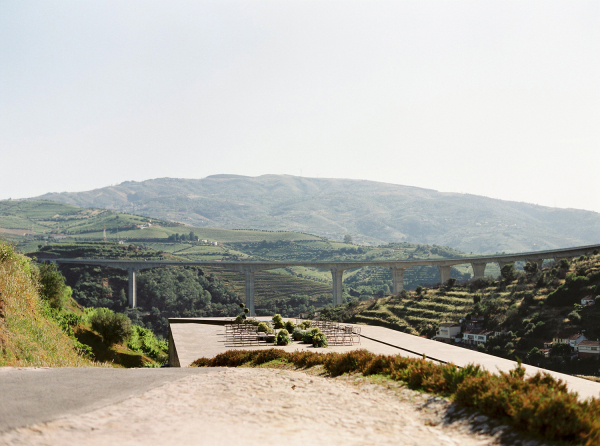 Florists Branco Prata