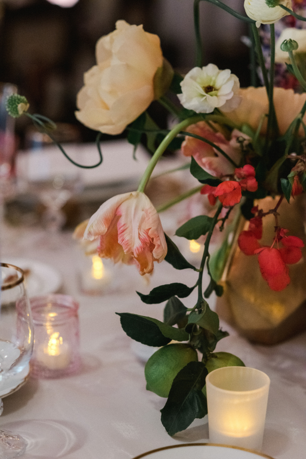 Photographers St. Chelle