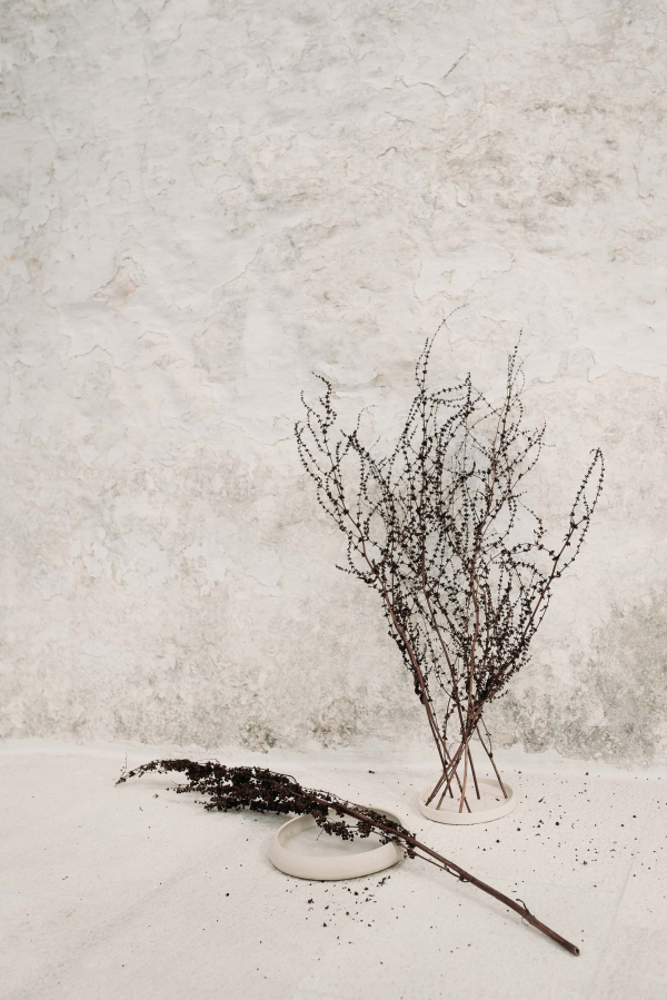 Photographers Gradisca Portento