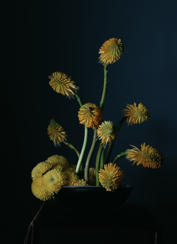 Florists Branco Prata