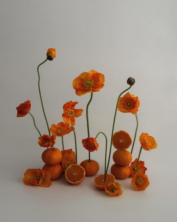 Best Spring Wedding Colors 2024 | Springtime Color Schemes | Beautiful, Elegant & Popular Palettes