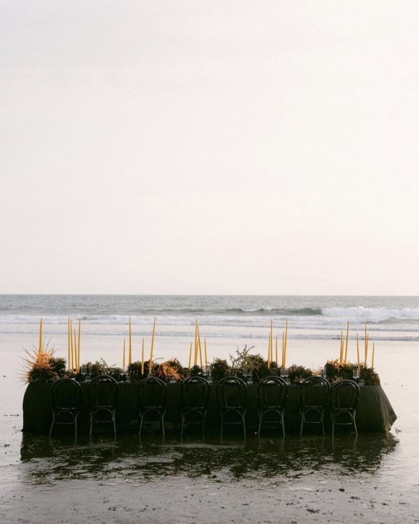 Best Spring Wedding Colors 2024 | Springtime Color Schemes | Beautiful, Elegant & Popular Palettes