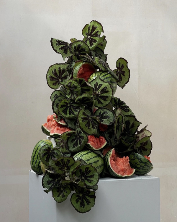 Fruits and Berries for a Wedding Dinner Decor | Fruit Table Centerpiece | Wedding Decoration