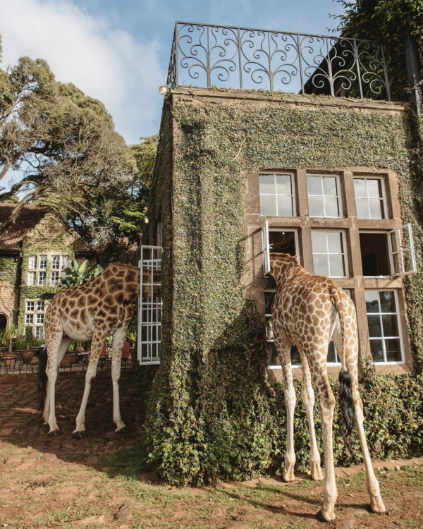 Best Pre-Wedding Destinations | Earlymoon Locations | TOP Pre-Wedding Getaways