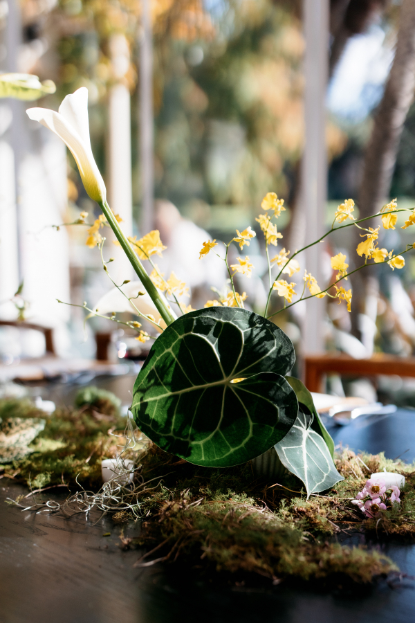 Royal Botanic Gardens Wedding Editorial