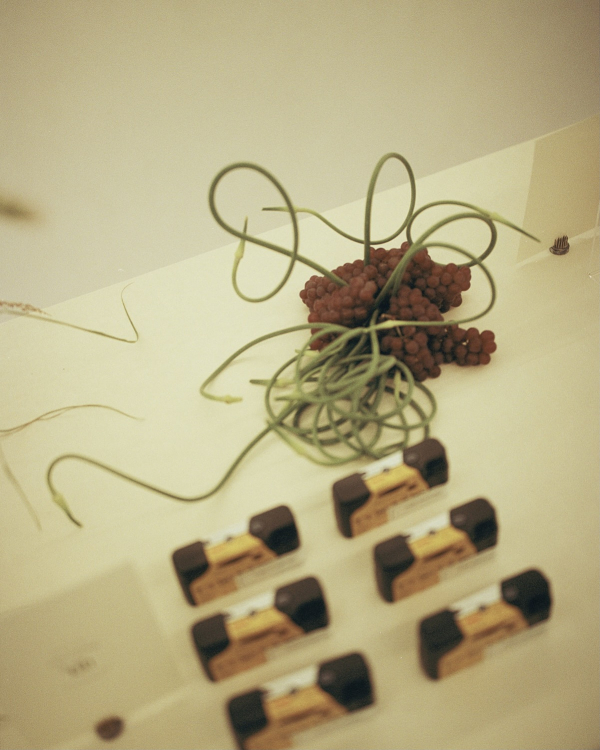 Modern Chinese Wedding | Elegant and Romantic Wedding in Ontario