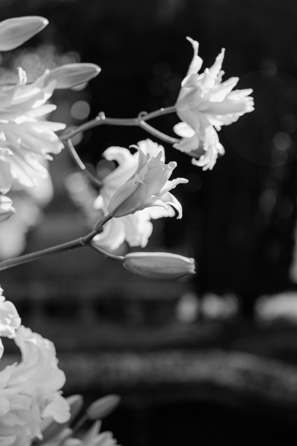 Photographers Anna Roussos