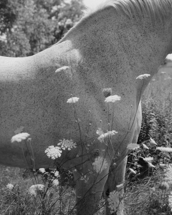 Photographers Jennifer Moher