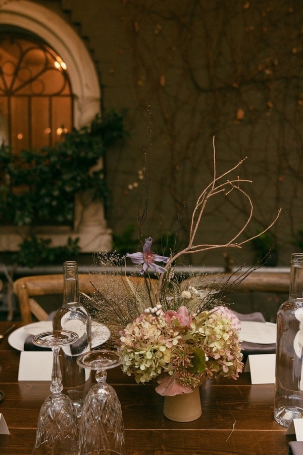 Florists Phosphorus Botanical